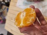 Food photos